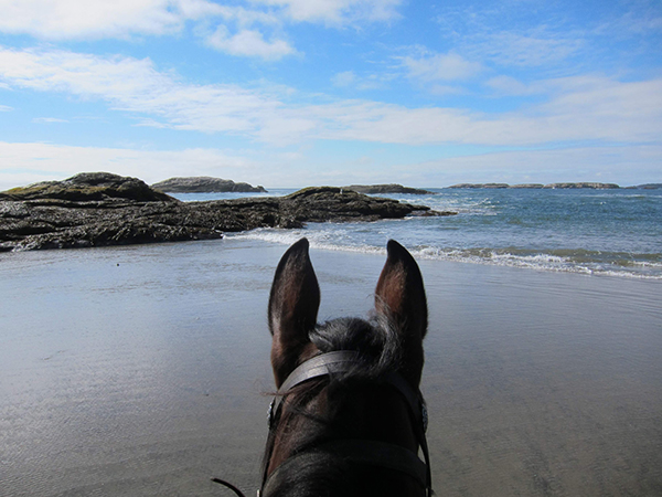 horseback riding popham beach maine