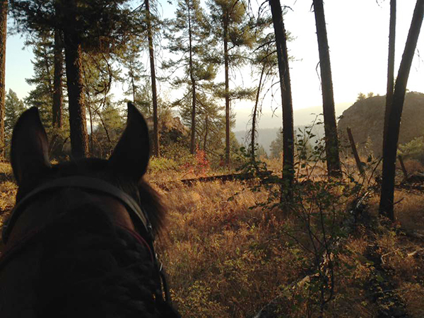 between the ears view from horseback of riverside state park washington