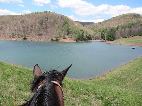 horseback riding at slate lick lake and dam area george washington national forest