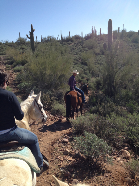 group of equestrians trail riding at saguaro lake guest ranch in mesa arizona