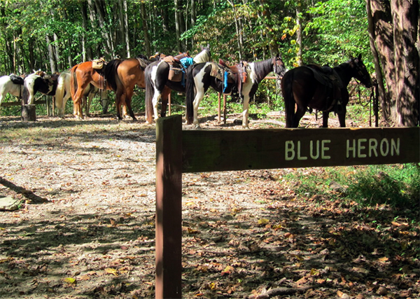 blue heron horse tying area TN