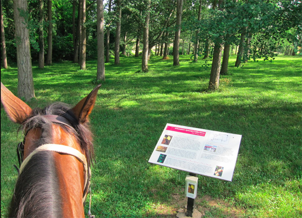 Tuleyrie estate horseback riding