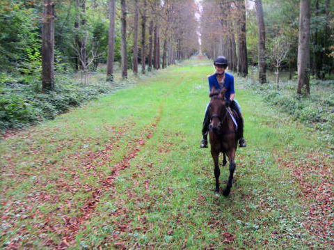 horseback riding versailles france