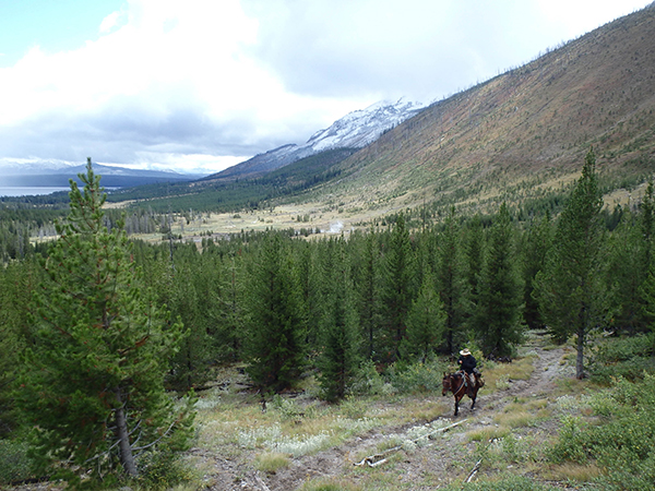 person horseback riding in yellowstone national park 