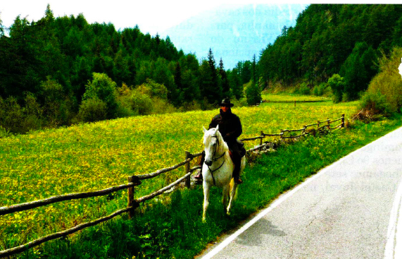 alps road horseback riding trails