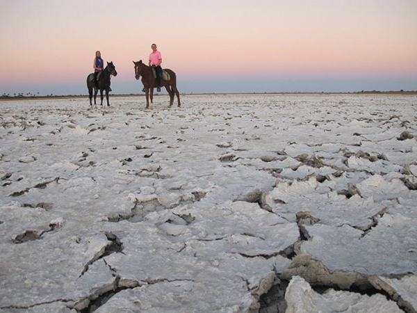 Africa horseback equestrian