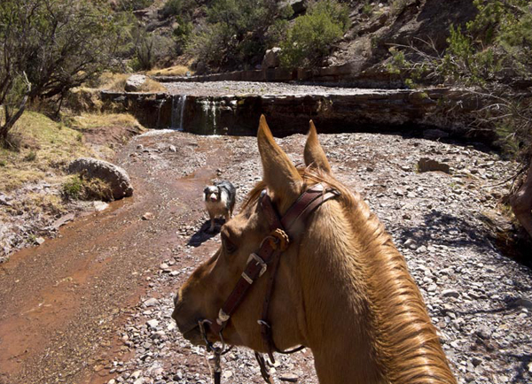 horseback new mexico stream