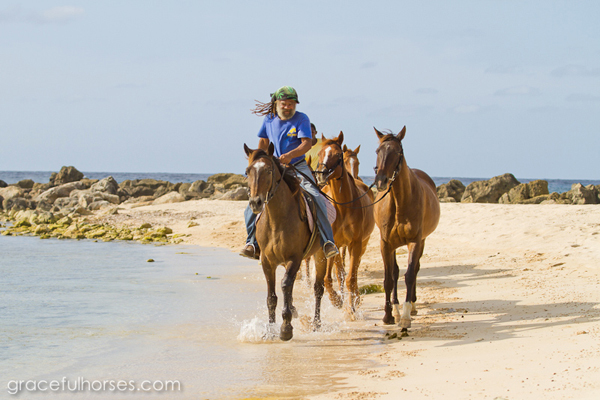 jamaica excursions horseback riding