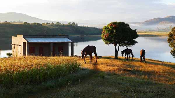 faka-ranch-madagascar