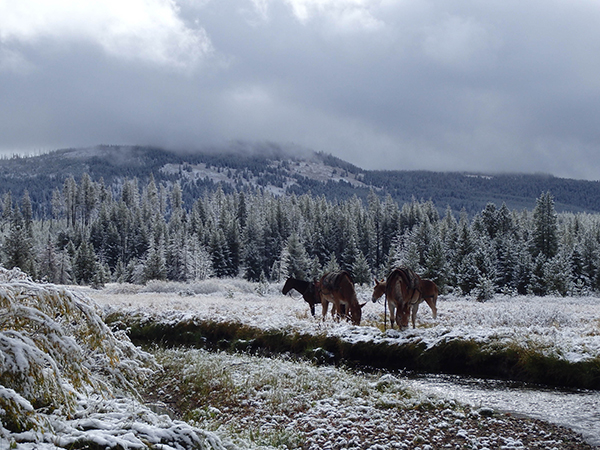 snow at equestrian campsite at yellowstone state park 