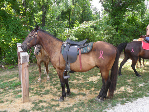 Horses & Hope benefit trail ride