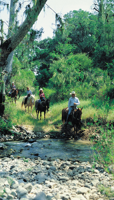 alisal guest ranch california horseback