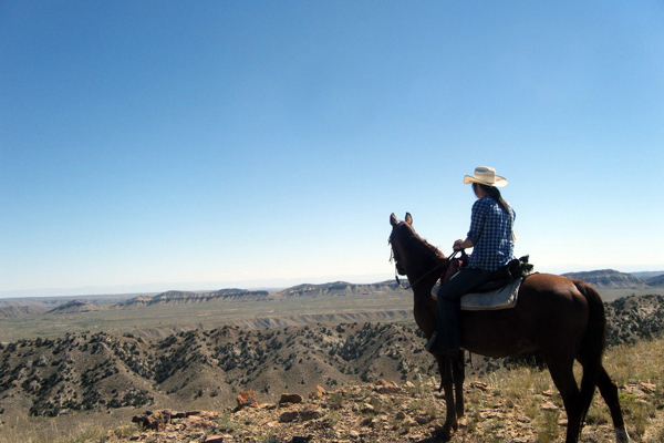 horseworks wyoming scenery