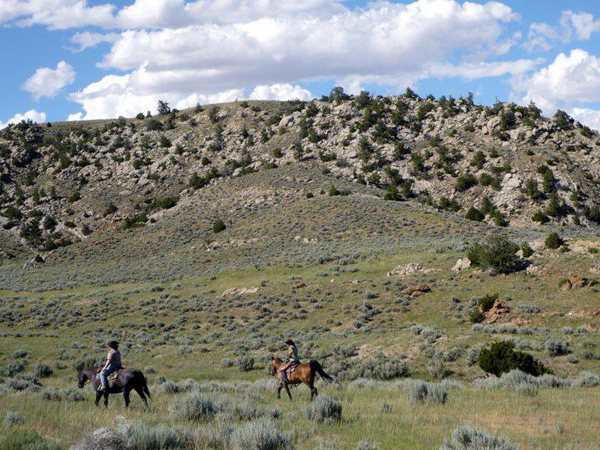 horseworks wyoming ranges horses