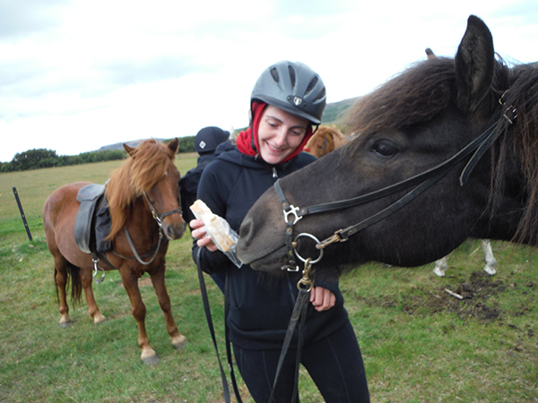 iceland horse vacation