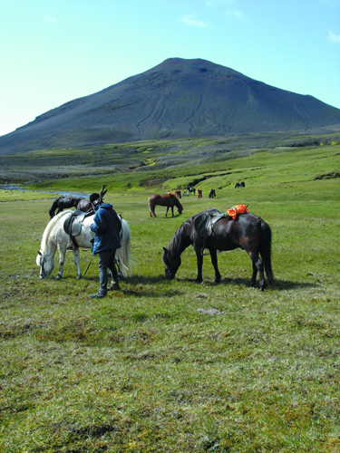 iceland horseback riding vacations