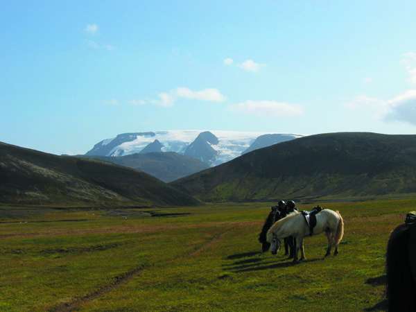 iceland horseback riding tours