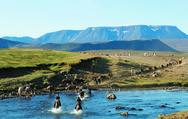 Iceland riding vacations