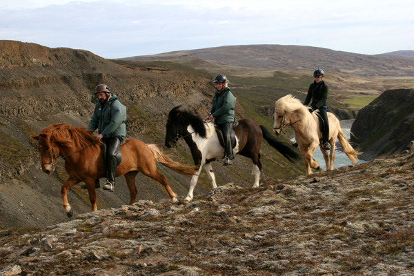 Iceland Cliff Ride