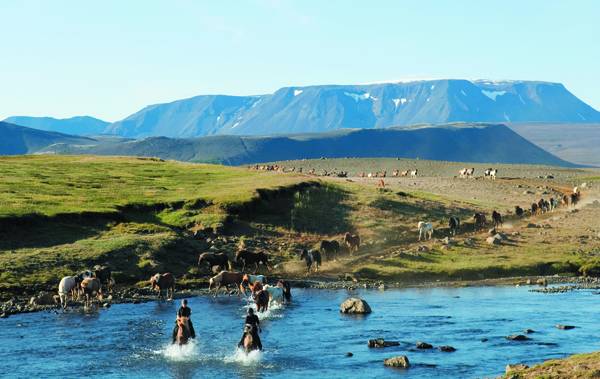 iceland glacier horse tour