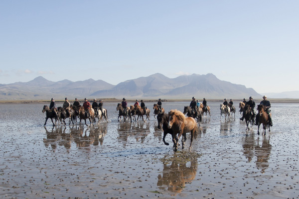 Iceland Horse Riding Tour