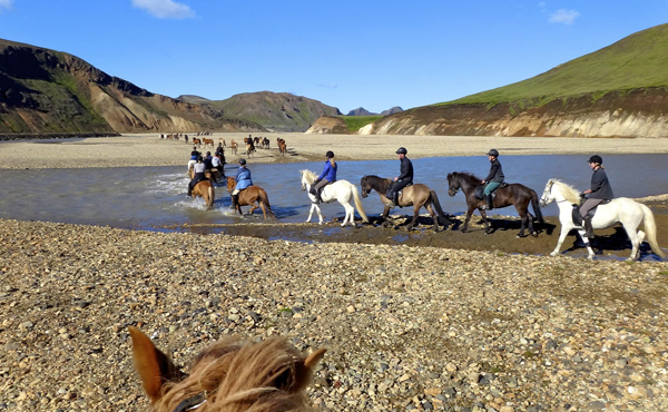 Iceland Horseback Riding Tours