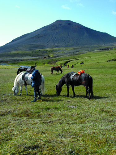 iceland volcano horse riding vacation