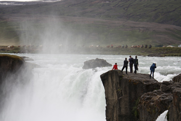 Iceland Horse Riding Tour waterfall