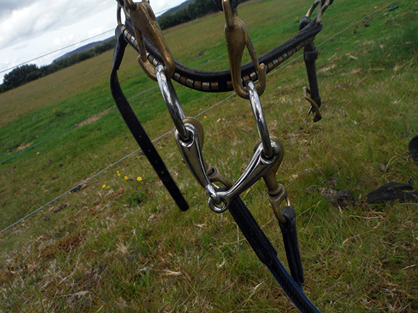 Icelandic bridles tack