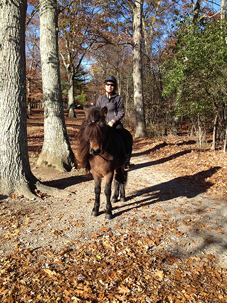 woman riding icelandic horse at borderland in massachusetts