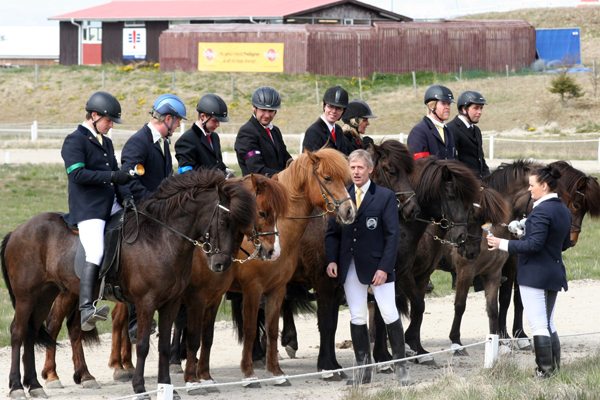 Icelandic horse show