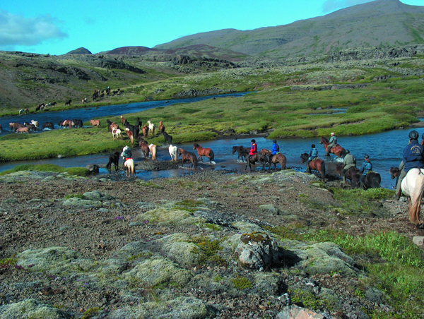 iceland beach horse riding