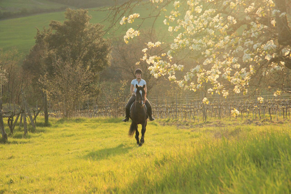 Horseback Riding in Tuscany