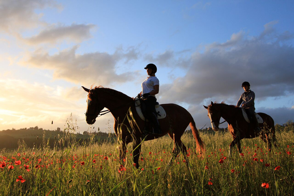 Il Paretaio Horseback Riding Wildflowers