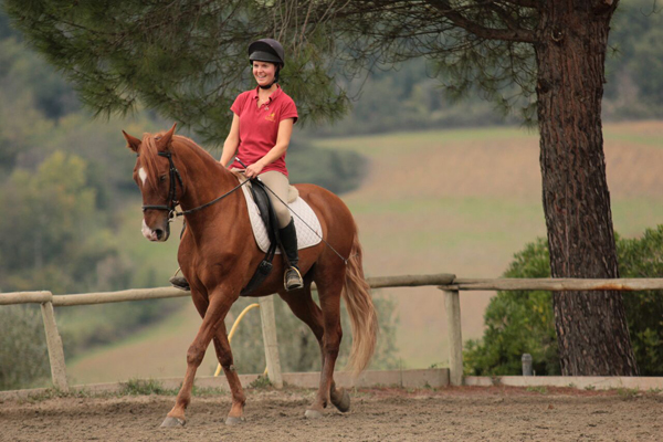 Il Paretaio Classical Dressage