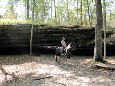 illinois horseback riding