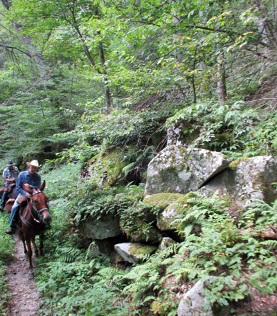 cherokee national forest horse trails