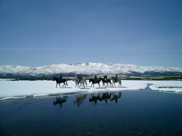 Gredos a Caballo Spain Horse