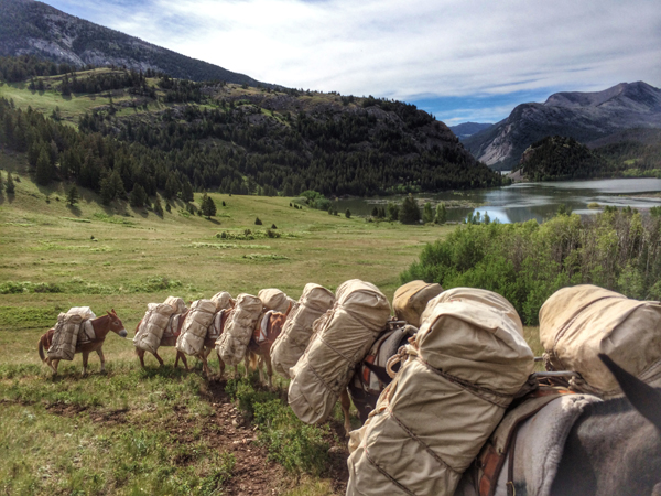 Mule Dragger Bob Marshall Wilderness