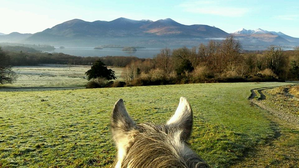 between the ears view from horseback of the ring of kerry in ireland