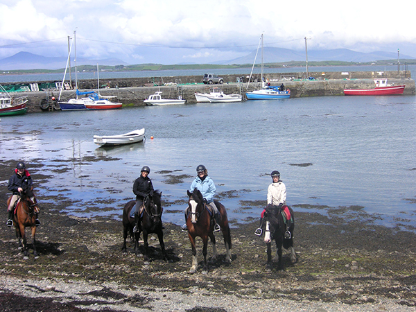 Ireland equestrian vacations Clew Bay Trail Ride