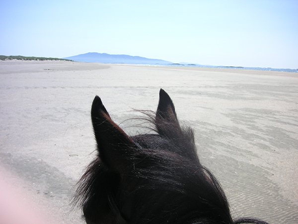 Clew Bay Trail Horseback Riding Ireland