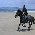 Clew bay Trail Rides Ireland Discount