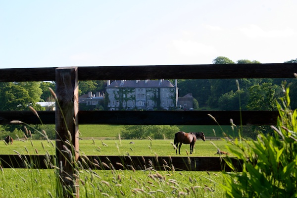 ireland mount juliet estate horses