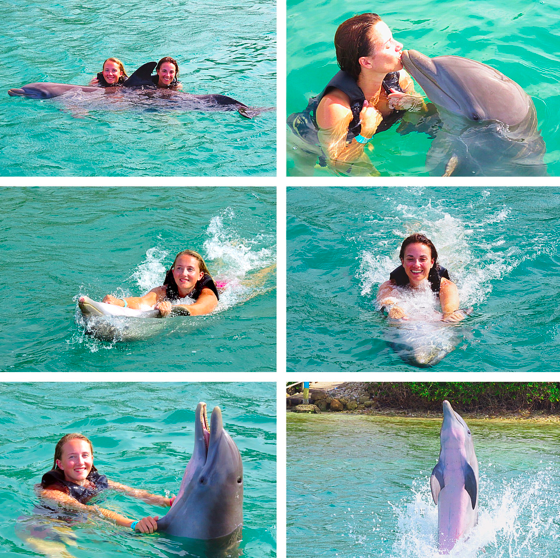 Jamaica Dolphins