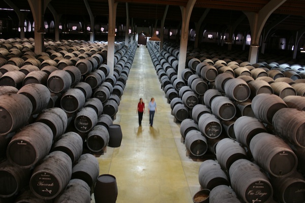 Sherry Tasting Jerez Spain Equitrekking