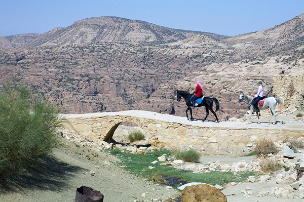 jordan dana nature reserve