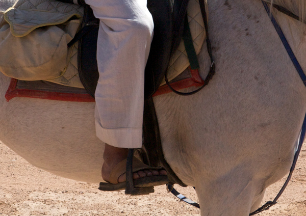 Jordan Bedouin horseman in sandals