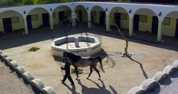 Royal Stables Courtyard