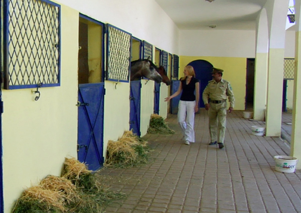 Darley Royal Stables Tour